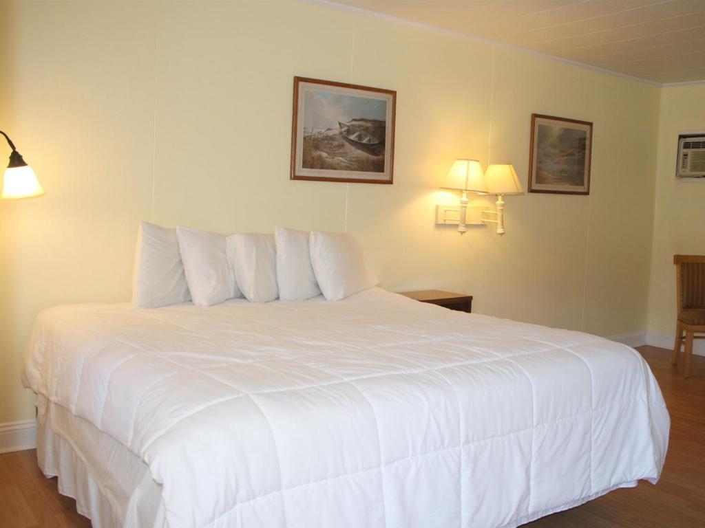 Falcon Motel Buxton Rum bild