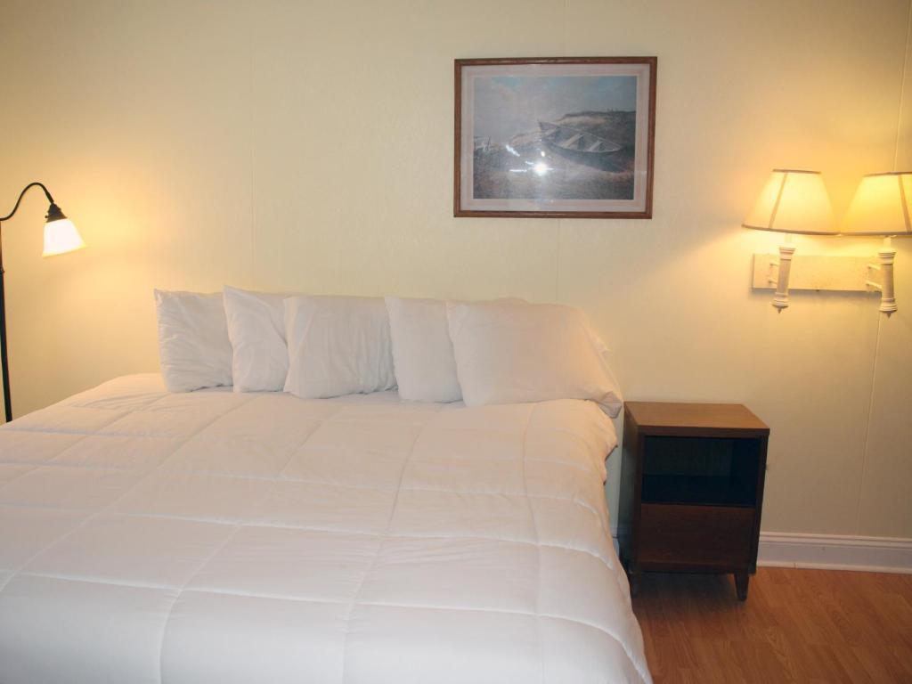 Falcon Motel Buxton Rum bild